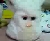 ���擊�e�e�X�g