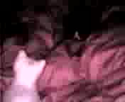 ��͕z�c�ŉ^�����