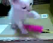 �����˂�