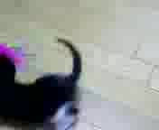 �����˂����̂P