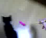 �����˂����̂Q