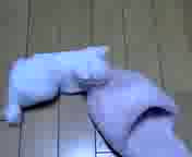 �\�N�ӂ������