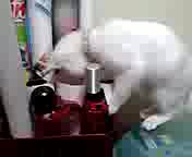 �����˂�