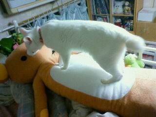 �N�}�[(�E�́E)