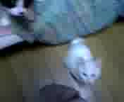 ��ѕt���˂�
