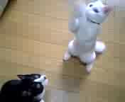 �˂��ނ�