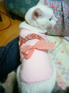 2011/01/01