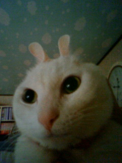 2011/01/01