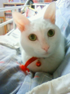 2011/03/09