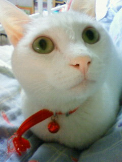 2011/03/09