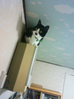 2011/03/09
