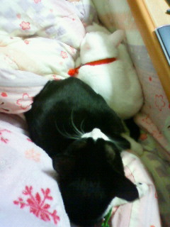 2011/03/21