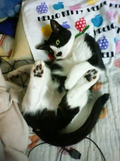 2011/05/24