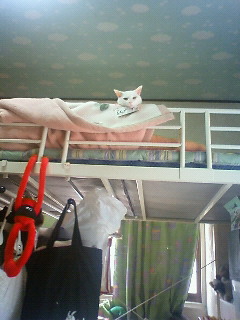 2011/06/08