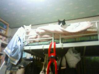 2011/06/12