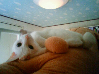 2011/06/21