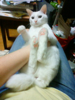 2011/06/25