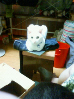 2011/07/09