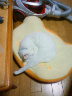 2011/07/11