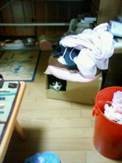 2011/07/16