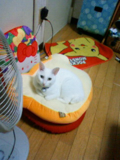 2011/07/16