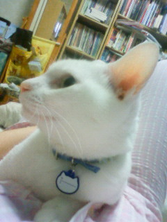 2011/08/06