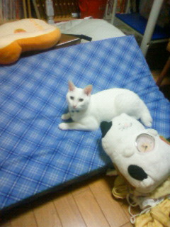 2011/08/18