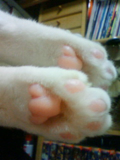 2011/08/28