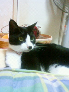 2011/08/28