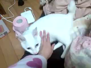 �ӂ������