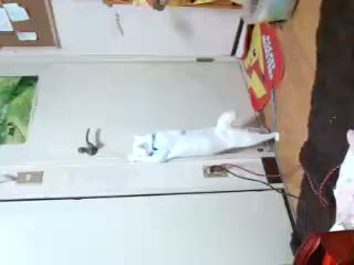 �ӂ������
