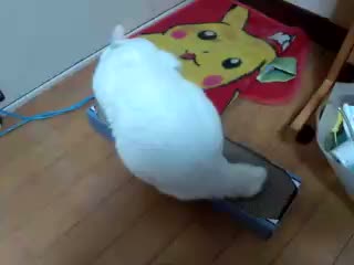 �ӂ������