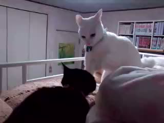2�ɂ��