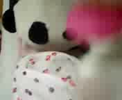 �u���b�V���O�i�H�j�ӂ������