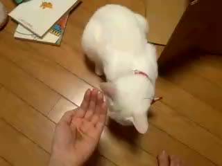 2�ɂ��