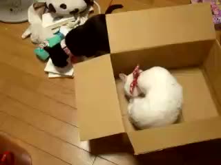 ����2�ɂ��