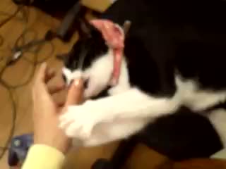 �͂������