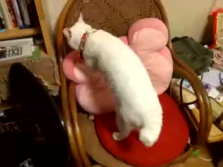 �ӂ������