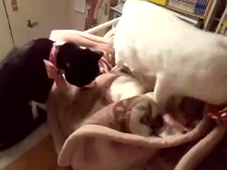 2�ɂ��