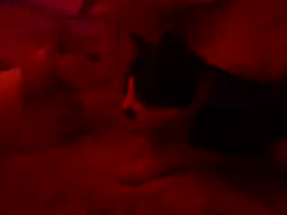 ������2�ɂ��