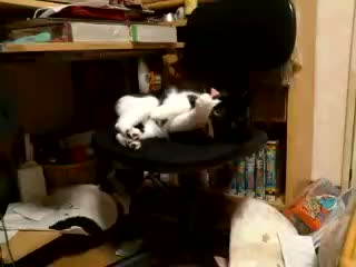 �͂������
