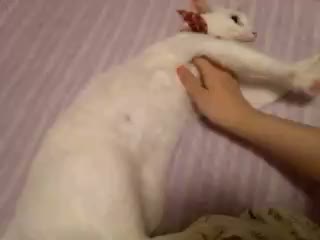 �ӂ������