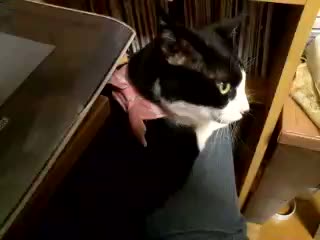 �͂������