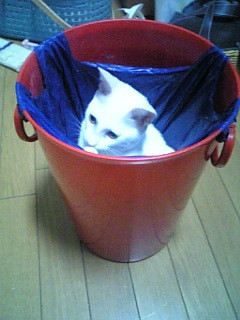 ���ݔ��ɓ���Ȃ��ݔ���