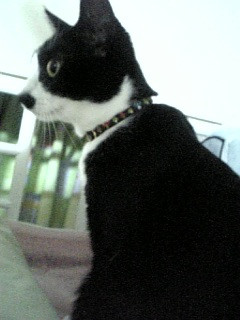 ������