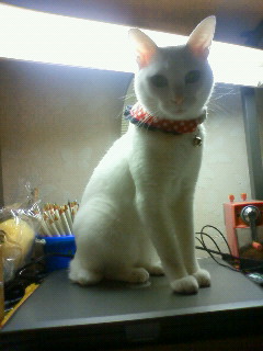 �t���ӂ������